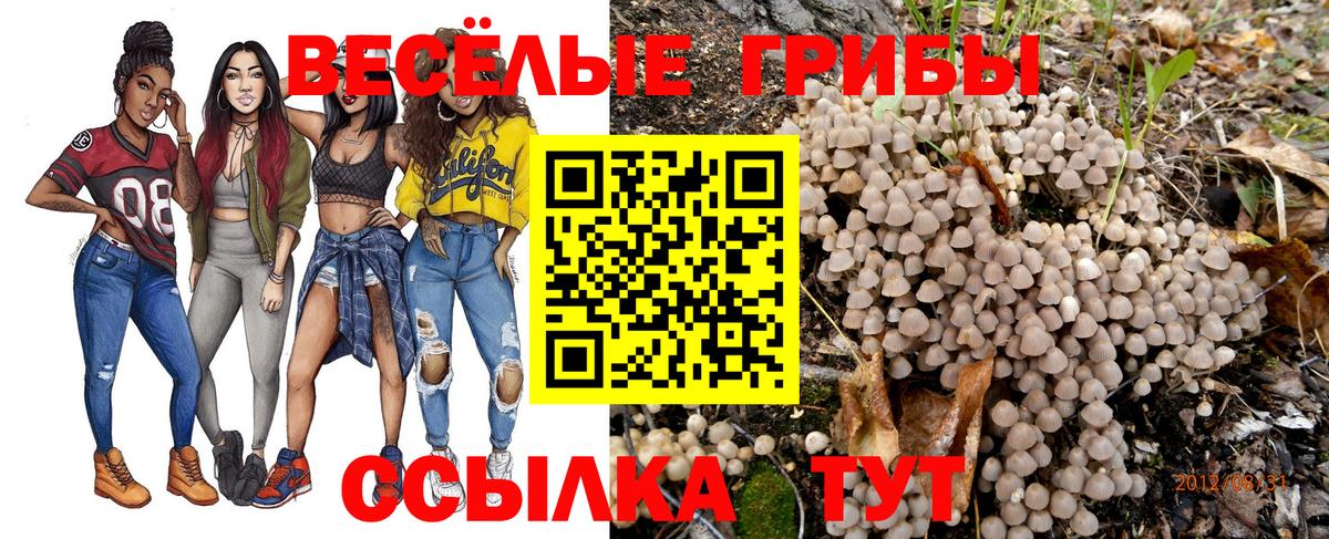 Артёмовский  Галлюциногенные грибы прущие грибы  Вход с VPN 